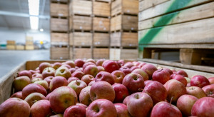 Dopłaty do przetwarzania jabłek: Nie ma konkretów tylko słowa
