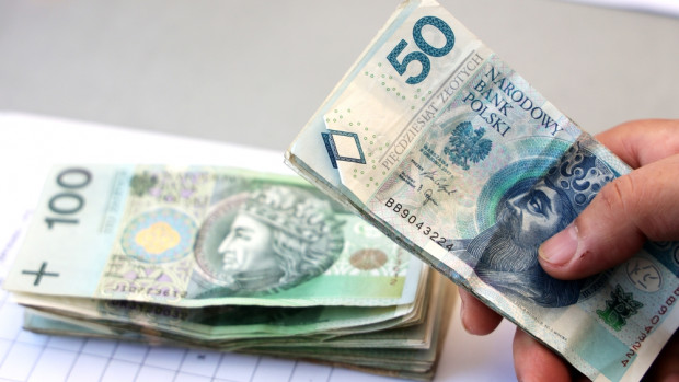 Natomiast łączna pula środków na dopłaty do kredytów z linii MRcsk (kredyty z częściową spłatą kapitału na zakup użytków rolnych przez młodych rolników) w 2022 roku wynosi 7 mln zł. / fot. shutterstock Dodatkowe środki na dopłaty do kredytów preferencyjnych