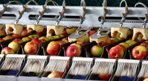 Jakie ceny jabłek na sortowanie?