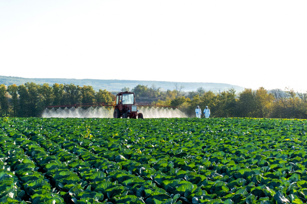 Pestycydy rekordowo drogie. Co z produkcją i dostawami?