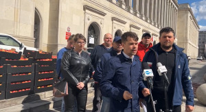 Kołodziejczak: Na jabłkach zarabiają wszyscy, tylko nie sadownicy!