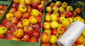Lidl i Biedronka obniżają ceny polskich jabłek przed świętami