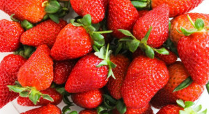 Mołdawskie truskawki dwa razy droższe niż owoce z importu