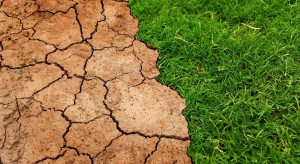Przyszła Wspólna Polityka Rolna przyczyni się do ochrony klimatu