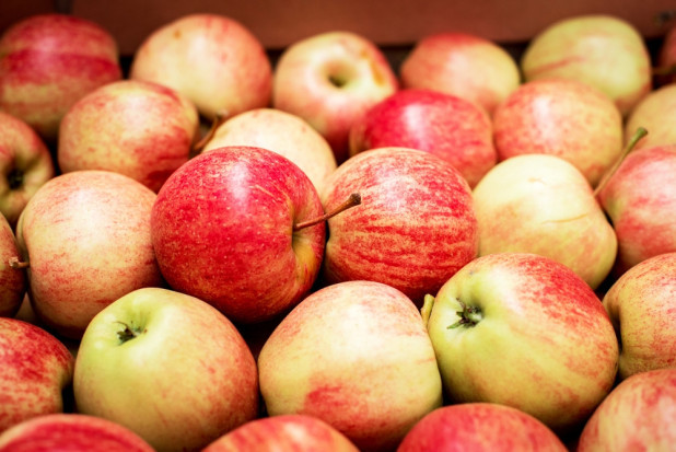 Wycofanie jabłek - jest projekt pomocy dla sadowników!