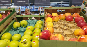 Ceny jabłek w sieciach. Ile powinien otrzymać sadownik?