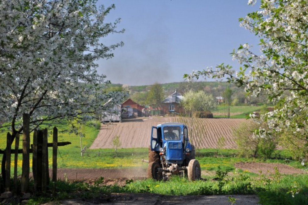 Restrukturyzacja małych gospodarstw- nabór od 16 maja