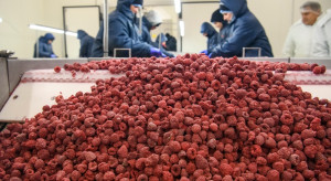 Wypadek w przetwórni owoców. Maszyna wciągnęła nogę pracownika