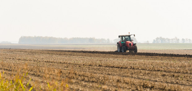 Wojciechowski: straty produkcyjne ukraińskiego rolnictwa nie będą tak duże