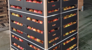 Ceny jabłek odbiły sie od dna. Wzrósł popyt i stawki