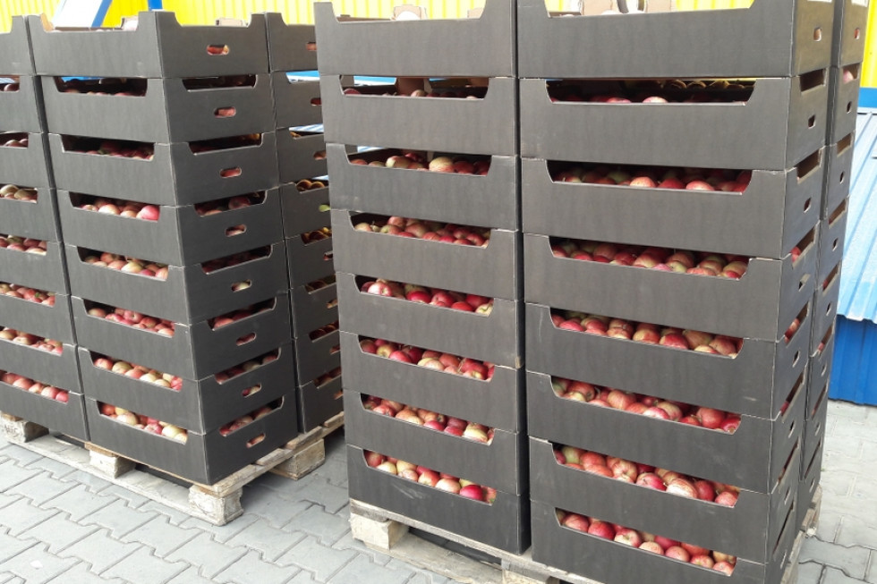 Gwałtowny wzrost eksportu mołdawskich jabłek
