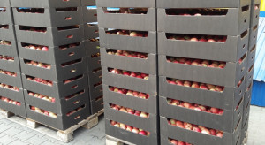 Gwałtowny wzrost eksportu mołdawskich jabłek