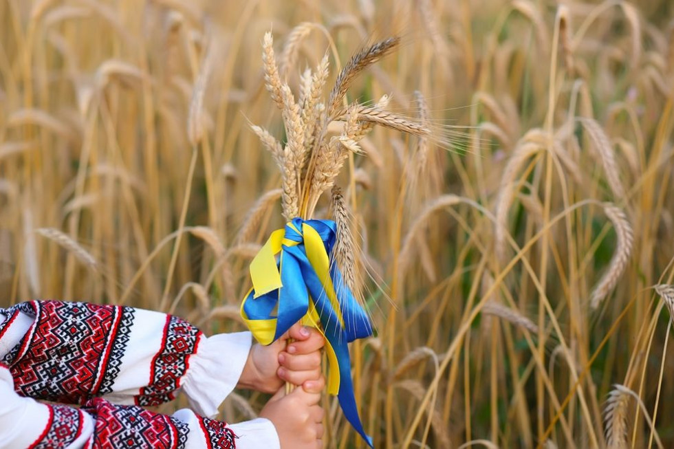 Będzie wsparcie rolnictwa w Ukrainie?
