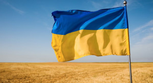 Rosja wywiozła z Ukrainy niespełna 500 tys. ton zboża