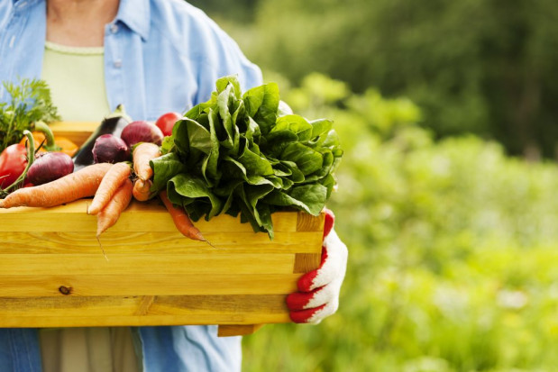 Jakie propozycje zmian zawiera projektowana ustawa o rolnictwie ekologicznym?/ fot. shutterstock Projekt ustawy o rolnictwie ekologicznym - będą ułatwienia dla producentów?