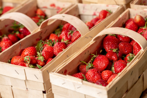 Ceny truskawek 2022: Stawki lecą w dół/ fot.shutterstock.com Truskawki 2022: Jakie ceny za kilogram ?