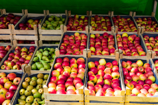 Mołdawscy sadownicy szukają rynków zbytu dla swoich jabłek