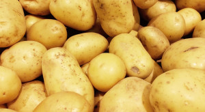 Bronisze: Spadły ceny młodych ziemniaków