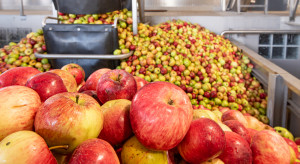Silny wzrost produkcji koncentratu jabłkowego