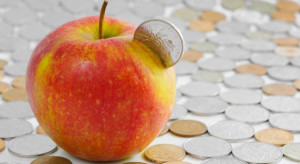 3/4 puli pomocy dla producentów jabłek wykorzystane