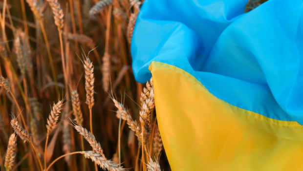 Wojna na Ukrainie może wywołać "masowy głód"