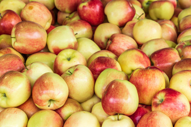 ARiMR: Wycofanie jabłek z rynku dobiega końca