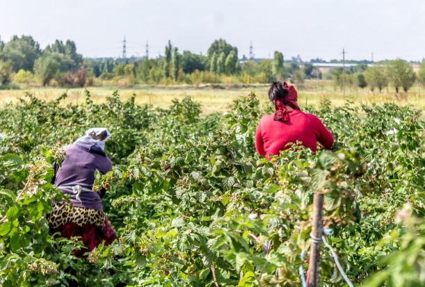 Migracja zarobkowa w Kazachstanie i Uzbekistanie wygląda obecnie tak, jak w Ukrainie wyglądała piętnaście lat temu. / fot. shutterstock Uzbecy i Kazachowie zastąpią Ukraińców? Ich zatrudnienie wymaga czasu