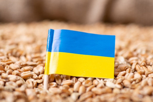 Konieczne jest odblokowanie ukraińskiego eksportu
