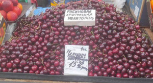 Ukradli wiśnie i pomidory. Teraz sprzedają je w Białorusi