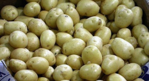 Młode ziemniaki 2022: Ceny spadają