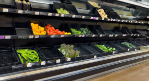 Brakuje warzyw w supermarketach. To efekt protestu rolników!