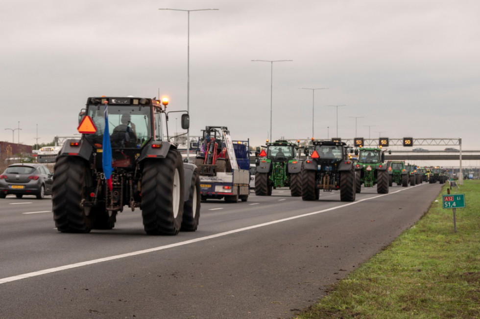 Holandia: Policjanci strzelali "na oślep" do rolników