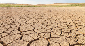 W Mołdawii największa susza od 25 lat