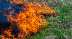 2500 ha lasów i nieużytków rolnych zniszczył pożar
