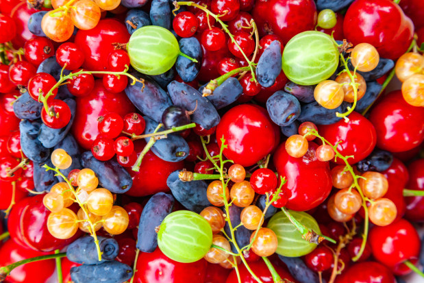 Trwa sezon na polskie owoce - dlaczego warto je spożywać?