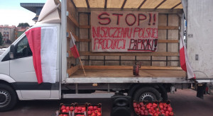 Pikieta pod Aldi w Radomiu: Stop niszczeniu polskiej produkcji papryki (zdjęcia)