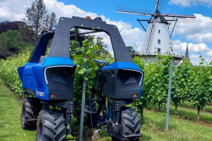Roboty w winnicach. Kolejna firma inwestuje w ten segment