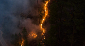 Pożary w Galicji: spłonęło ponad 2 tys. hektarów lasów i łąk
