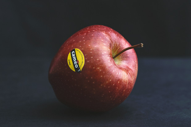 Sukces jabłek klubowych. Nowe nasadzenia odmiany CAMEO® w Polsce