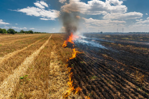 Prawie 2,2 tys. pożarów upraw rolnych, z czego ponad połowa w lipcu