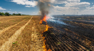Prawie 2,2 tys. pożarów upraw rolnych, z czego ponad połowa w lipcu