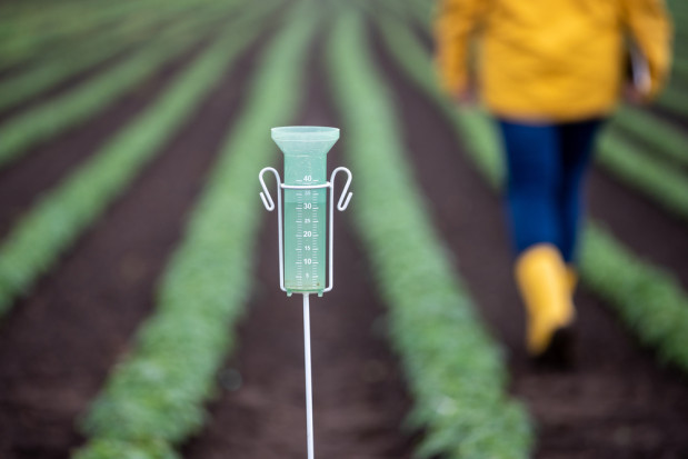 W czwartek popołudniu zachmurzenie będzie umiarkowane i duże, okresami na południowym wschodzie pojawią się deszcz i burze / fot. shutterstock Czwartek ciepły z lokalnymi opadami deszczu i burzami