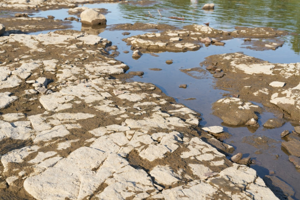Klęska suszy w Bułgarii. Wyschła rzeka w pobliżu Sofii