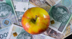 Do producentów jabłek trafiło 15,5 mln zł
