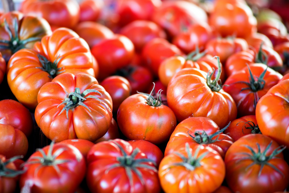 Pomidory na topie w sierpniu. Traci pieczarka