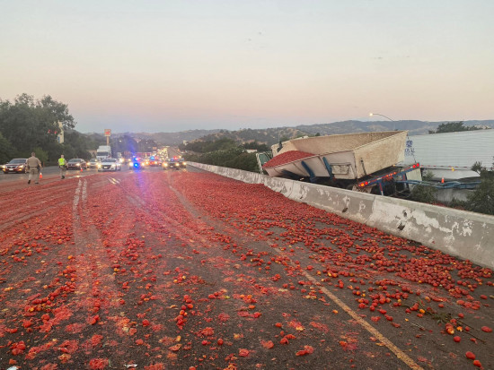 Ponad 150 000 pomidorów wysypało się na autostradzie