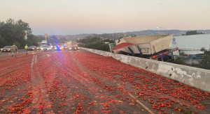 Ponad 150 000 pomidorów wysypało się na autostradzie