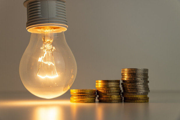 Czy planowane są rekompensaty w związku z wprowadzanymi podwyżkami energii elektrycznej?/ fot.shutterstock.com Ceny energii elektrycznej dobijają sadowników - będą rekompensaty?