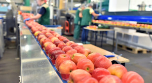 Sortownie jabłek ograniczą działalność przez wysokie ceny energii?