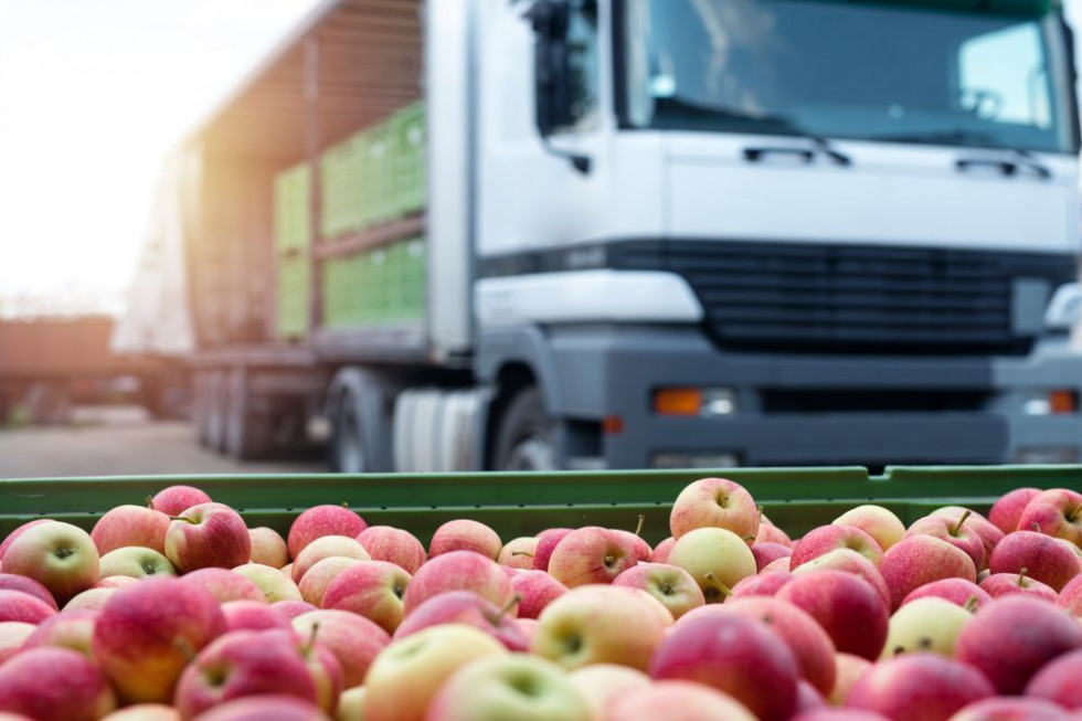 Przeładowana ciężarówka z jabłkami przemysłowymi jechała do przetwórni
